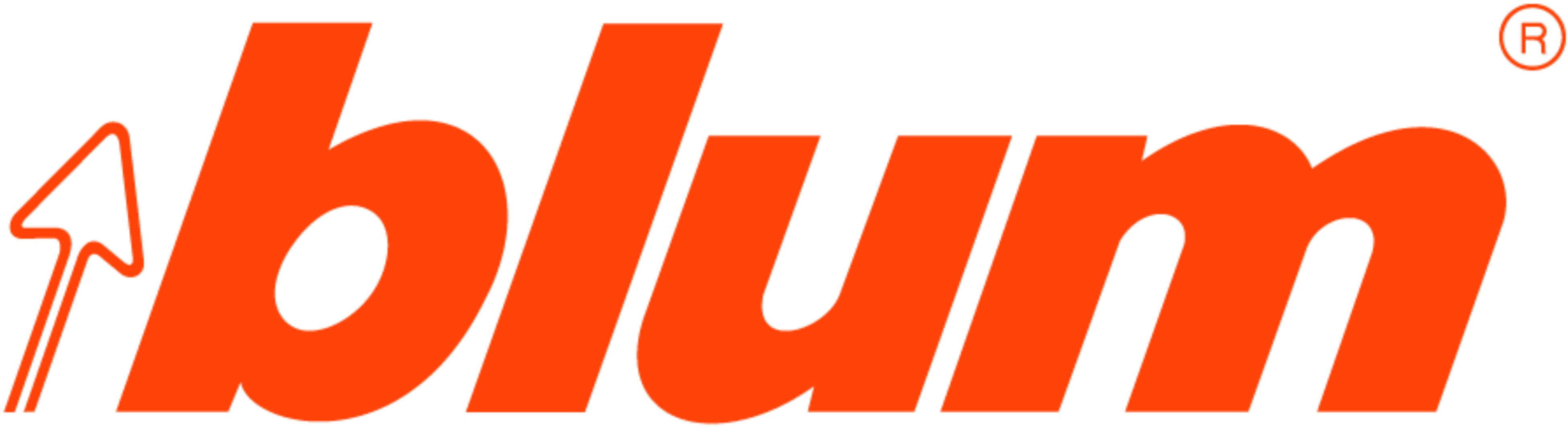 Логотип фурнитуры BLUM